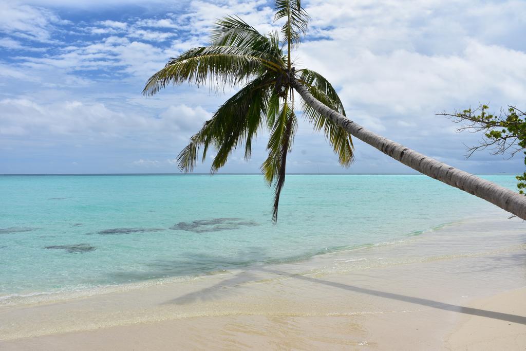 Sancia Lodge Fulidhoo Eksteriør billede