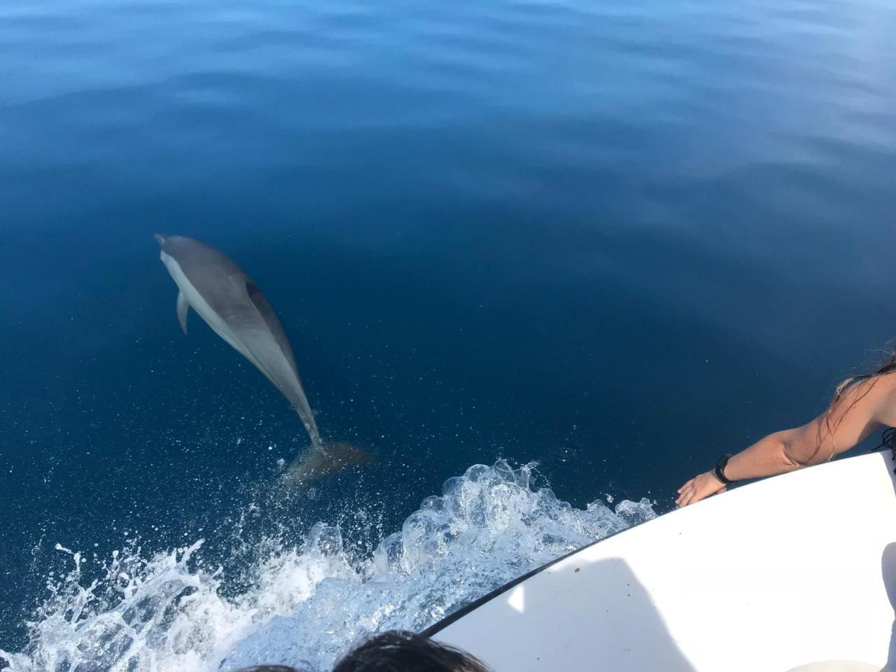 Sancia Lodge Fulidhoo Eksteriør billede