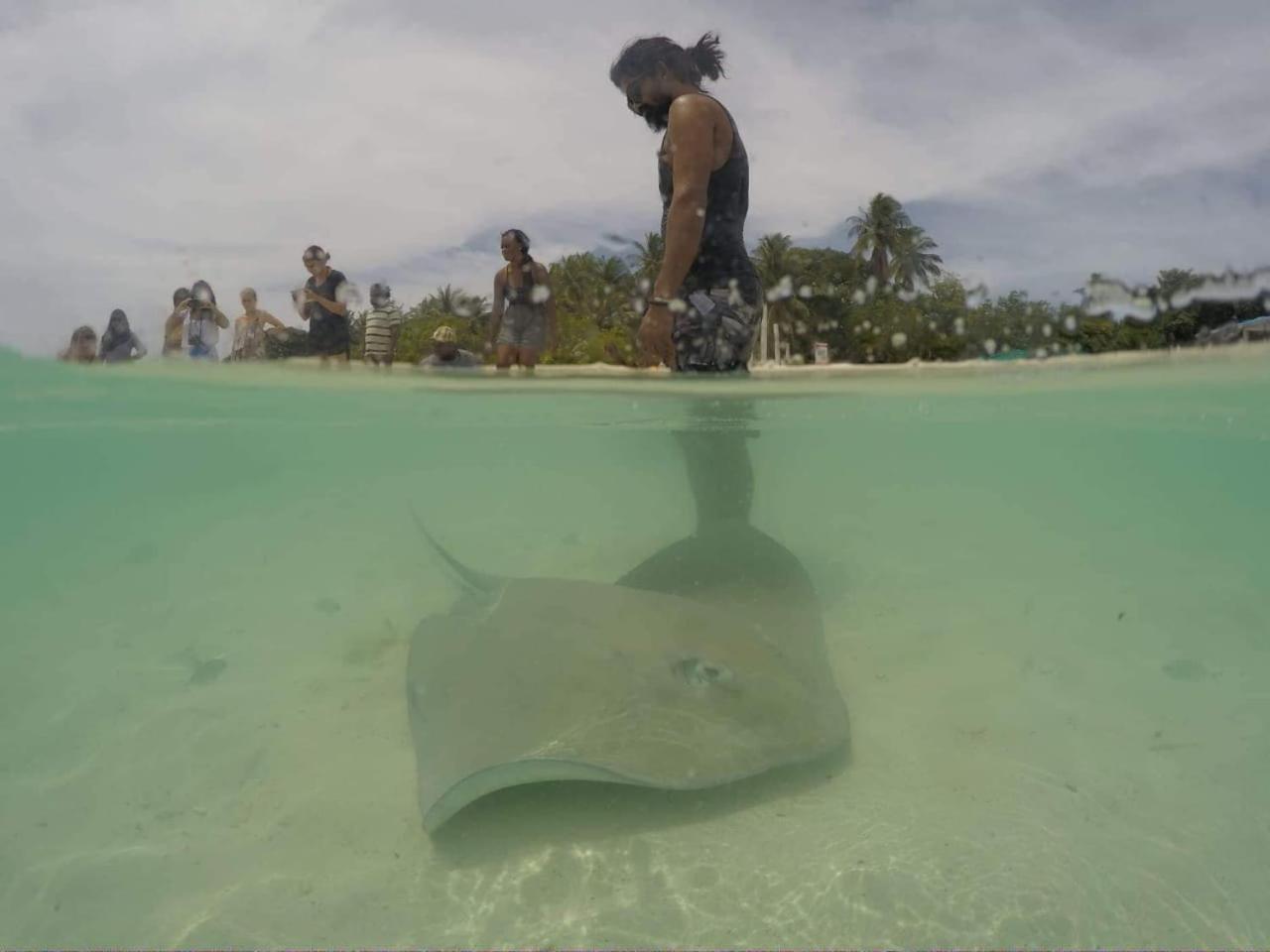 Sancia Lodge Fulidhoo Eksteriør billede