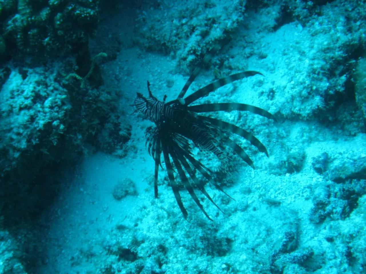 Sancia Lodge Fulidhoo Eksteriør billede