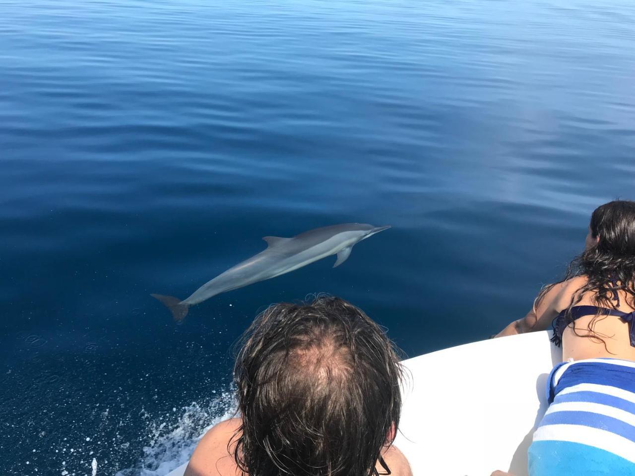 Sancia Lodge Fulidhoo Eksteriør billede